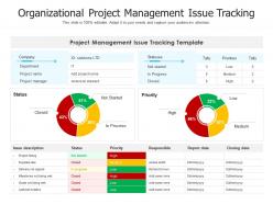 Organizational project management issue tracking