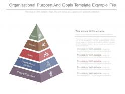 Organizational Purpose And Goals Template Example File
