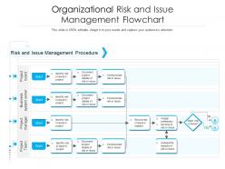 Organizational risk and issue management flowchart