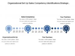 Organizational set up sales competency identifications strategic potential gaps