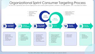 Organizational Sprint Consumer Targeting Process