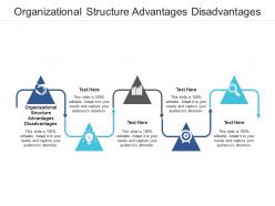 Organizational structure advantages disadvantages ppt powerpoint presentation ideas maker cpb