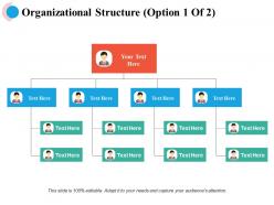 Organizational structure business ppt powerpoint presentation file backgrounds