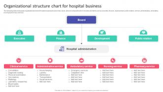 Organizational Structure Chart For Hospital Business Hospital Startup Business Plan Revolutionizing