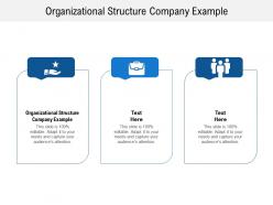 Organizational structure company example ppt powerpoint presentation layouts master slide cpb