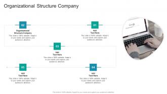 Organizational Structure Company In Powerpoint And Google Slides Cpb