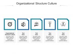 Organizational structure culture ppt powerpoint presentation gallery graphics download cpb