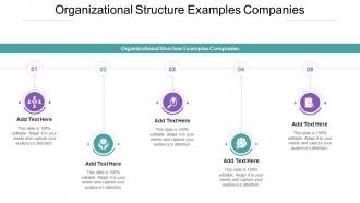 Organizational Structure Examples Companies In Powerpoint And Google Slides Cpb