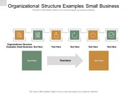 Organizational structure examples small business ppt powerpoint presentation infographic cpb