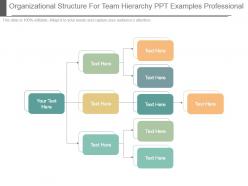 Organizational structure for team hierarchy ppt examples professional