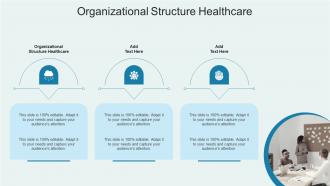 Organizational Structure Healthcare In Powerpoint And Google Slides Cpb