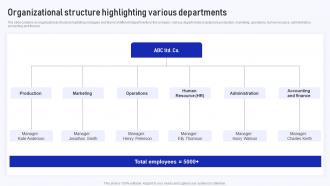 Organizational Structure Highlighting Various Implementation Of Cost Efficiency Methods For Increasing Business