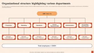 Organizational Structure Highlighting Various Multiple Strategies For Cost Effectiveness