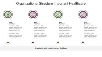 Organizational Structure Important Healthcare In Powerpoint And Google Slides Cpb