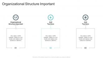 Organizational Structure Important In Powerpoint And Google Slides Cpb