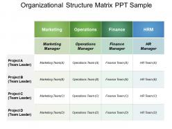 Organizational structure matrix ppt sample