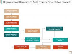 Organizational structure of audit system presentation example