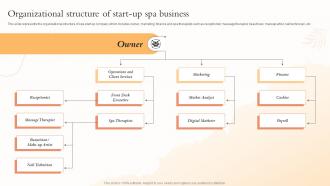 Organizational Structure Of Start Up Spa Business Health And Beauty Center BP SS