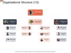 Organizational Structure Online Business Management Ppt Professional