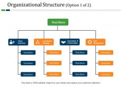 Organizational structure powerpoint slide design templates
