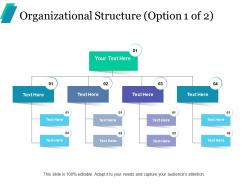 Organizational structure ppt professional infographic template