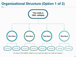 Organizational structure ppt summary infographic template