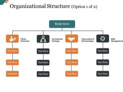 Organizational structure presentation examples