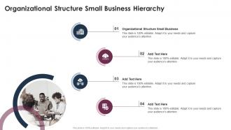 Organizational Structure Small Business Hierarchy In Powerpoint And Google Slides Cpb