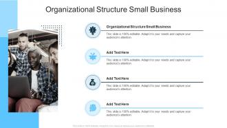 Organizational Structure Small Business In Powerpoint And Google Slides Cpb