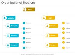 Organizational structure startup company strategy ppt powerpoint presentation gallery