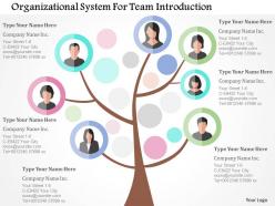 Organizational system for team introduction flat powerpoint design