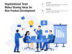 Organizational team mates sharing ideas for new product development