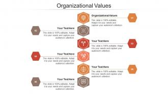 Organizational values ppt powerpoint presentation infographic template mockup cpb