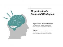 Organizations financial strategies ppt powerpoint presentation inspiration tips cpb