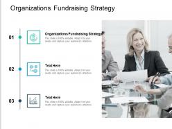 Organizations fundraising strategy ppt powerpoint presentation ideas slide cpb