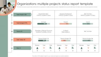 Organizations Multiple Projects Status Report Template