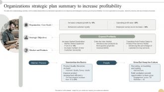 Organizations Strategic Plan Summary To Increase Profitability