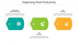 Organizing Work Productivity Ppt Powerpoint Presentation Visual Aids File Cpb