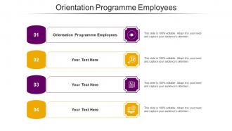 Orientation Programme Employees Ppt Powerpoint Presentation Model Format Ideas Cpb