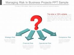 Original managing risk in business projects ppt sample