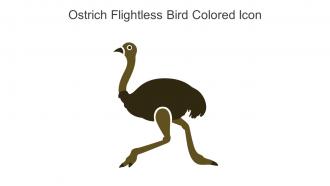Ostrich Flightless Bird Colored Icon In Powerpoint Pptx Png And Editable Eps Format