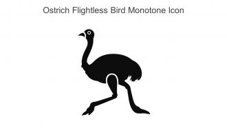 Ostrich Flightless Bird Monotone Icon In Powerpoint Pptx Png And Editable Eps Format
