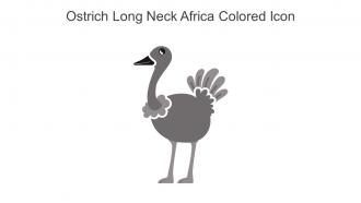 Ostrich Long Neck Africa Colored Icon In Powerpoint Pptx Png And Editable Eps Format