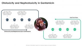 Ototoxicity And Nephrotoxicity In Gentamicin In Powerpoint And Google Slides Cpp