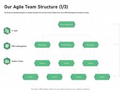 Our agile team structure delivery teams ppt powerpoint presentation portfolio