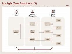 Our agile team structure exec sponsor ppt powerpoint presentation infographics tips