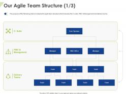 Our agile team structure ppt powerpoint presentation show graphics example