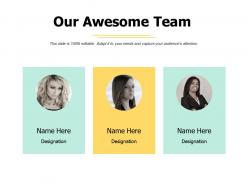 Our awesome team introduction a443 ppt powerpoint presentation infographics example