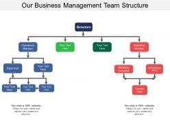 Our business management team structure