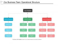 Our Business Team Operational Structure